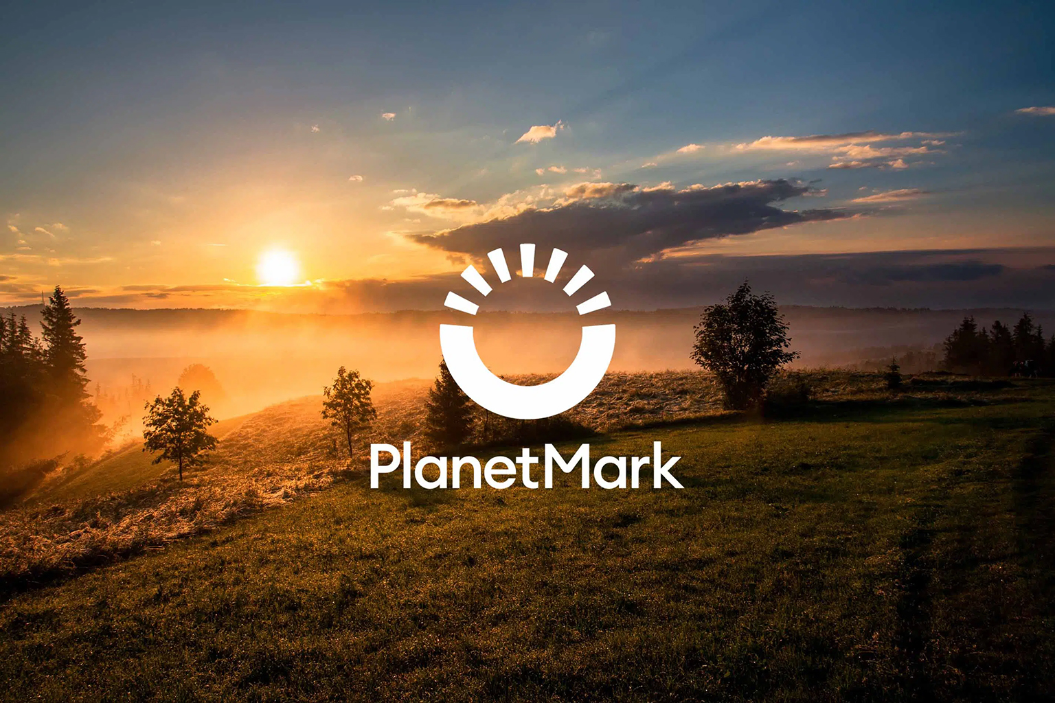 Planet Mark logo