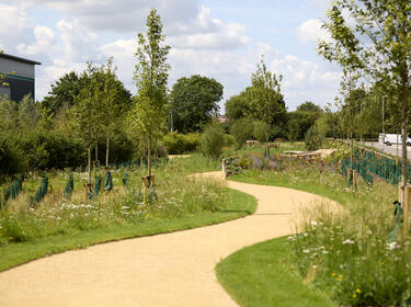 PARKlife Shenley Garden landscaping